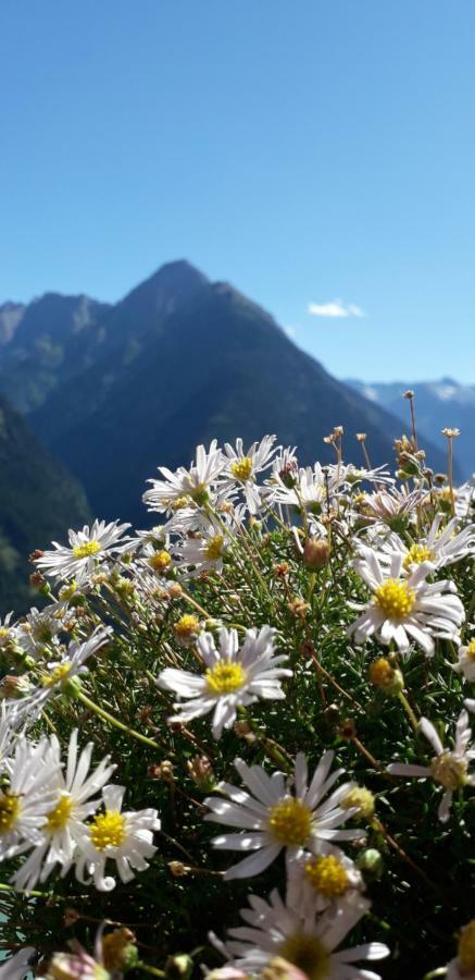 Landhaus Zum Griena Mayrhofen Zewnętrze zdjęcie